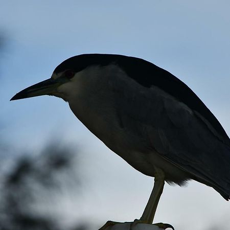 Pousada Barra Sul Лагуна Экстерьер фото